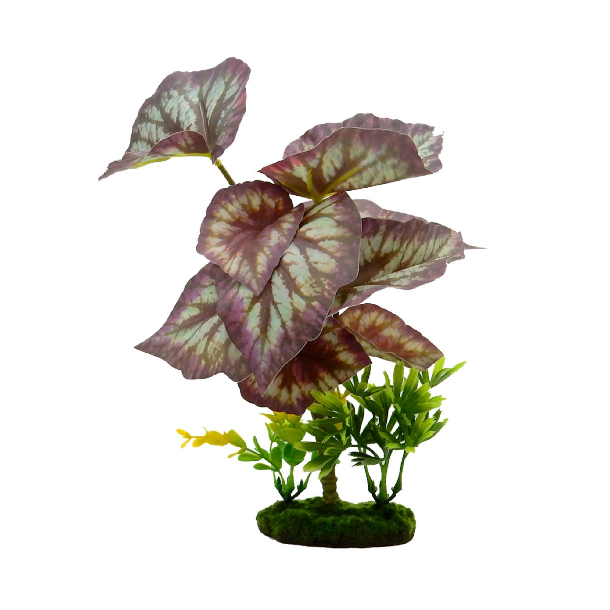 Blue Ribbon Pet Products Tropical Gardens Caladium Bicolor Aquarium Plant 11 in