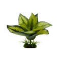 Blue Ribbon Pet Products Tropical Gardens Variegated Diffenbachia 6 in