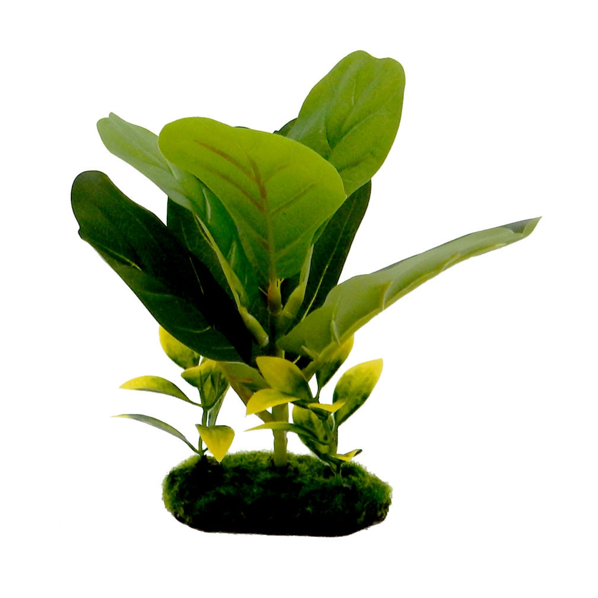 Blue Ribbon Pet Products Tropical Gardens Fiddle Leaf Aquarium Plant 8 in
