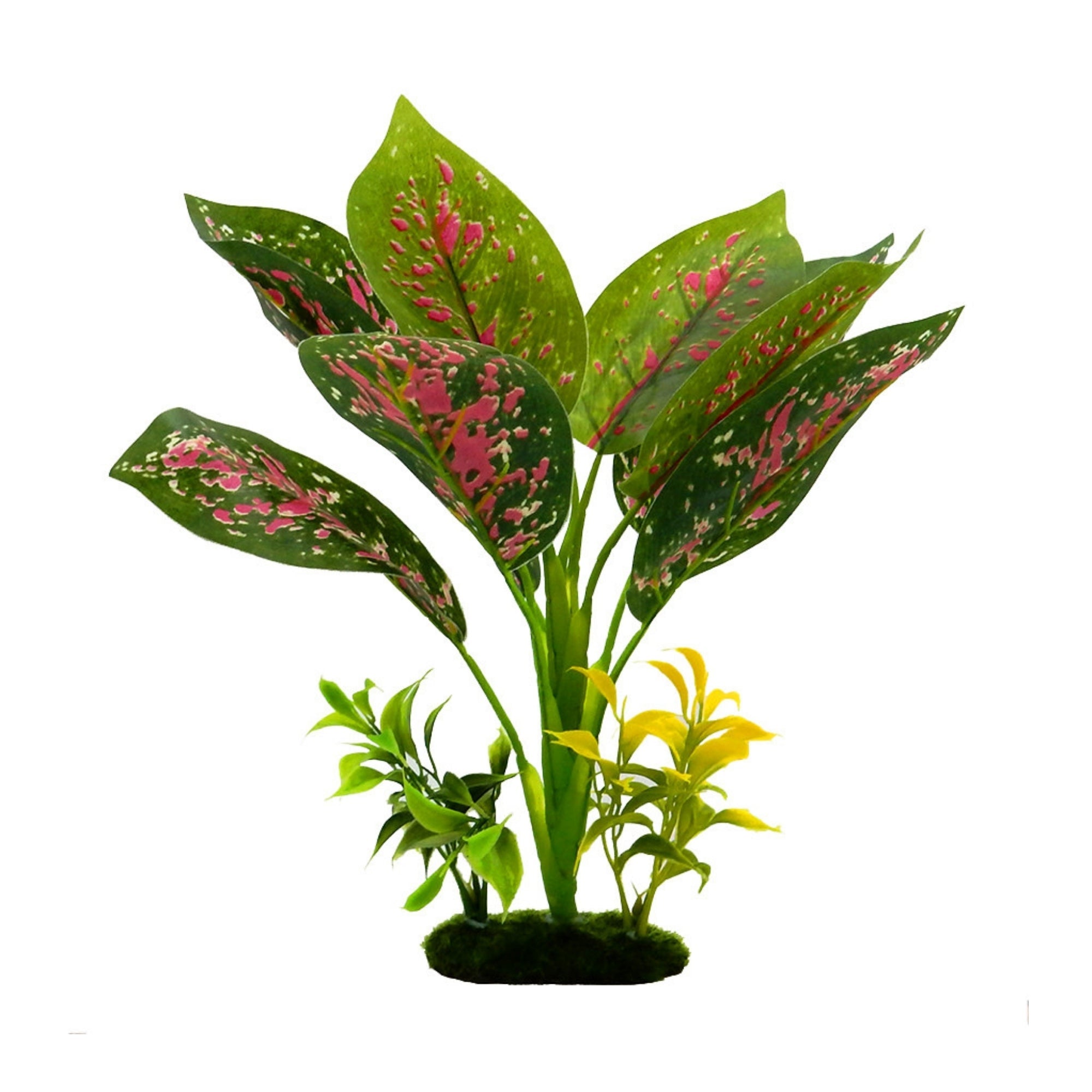 Blue Ribbon Pet Products Tropical Gardens Chinese Evergreen Aquarium Plant 12 in