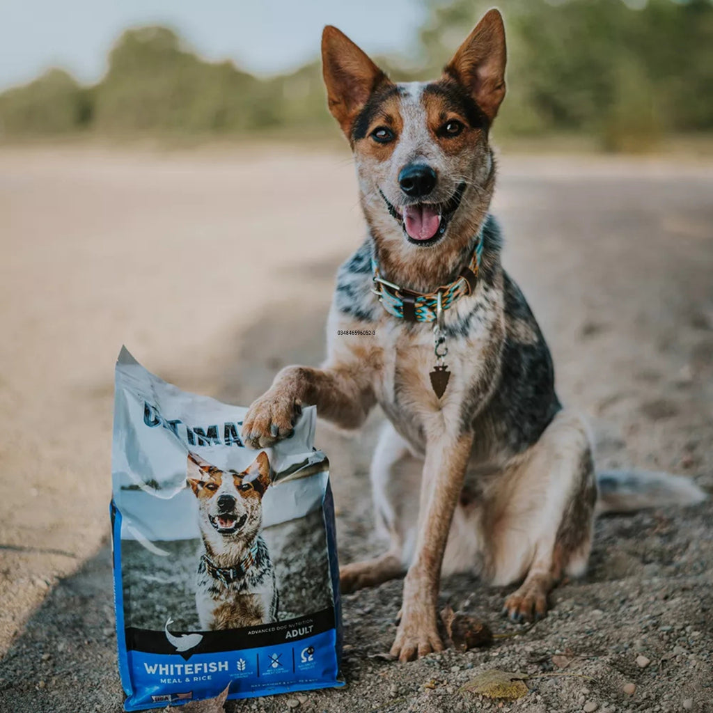Ultimates Dry Dog Food Whitefish Meal & Rice 5lb