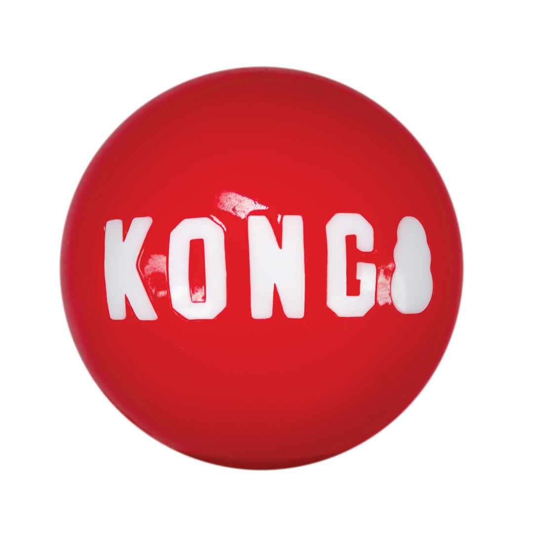 !!KONG D SIGNTR BALL LG