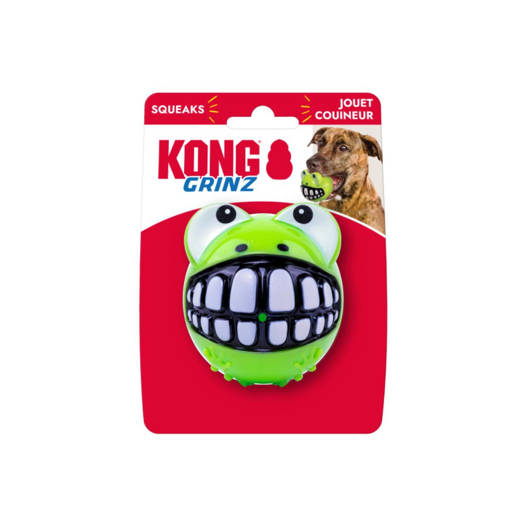 KONG Grinz Frog Dog Toy Green Large