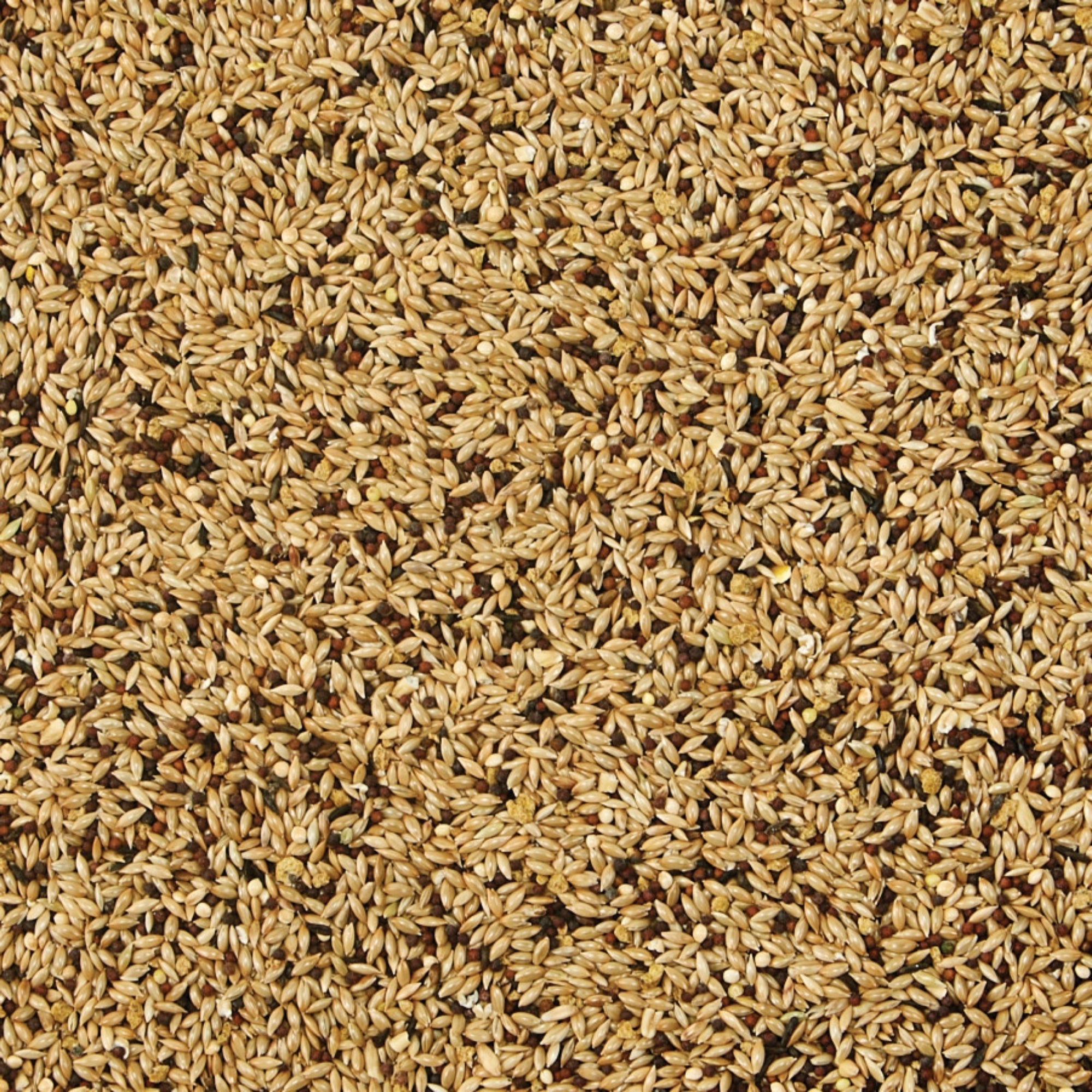 Kaytee Supreme Canary  Finch Food 1ea/20 lb
