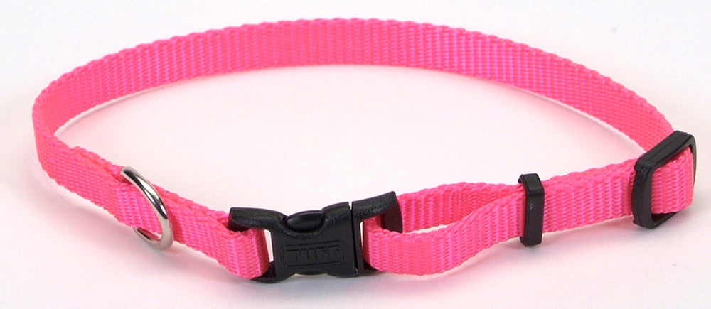 Coastal Adjustable Nylon Dog Collar with Plastic Buckle Neon Pink, 1ea/3/8 In X 812 in