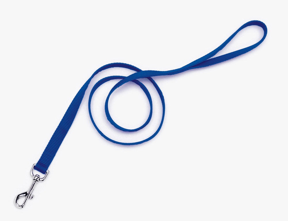 Coastal SinglePly Nylon Dog Leash Blue, 1ea/1 In X 6 ft