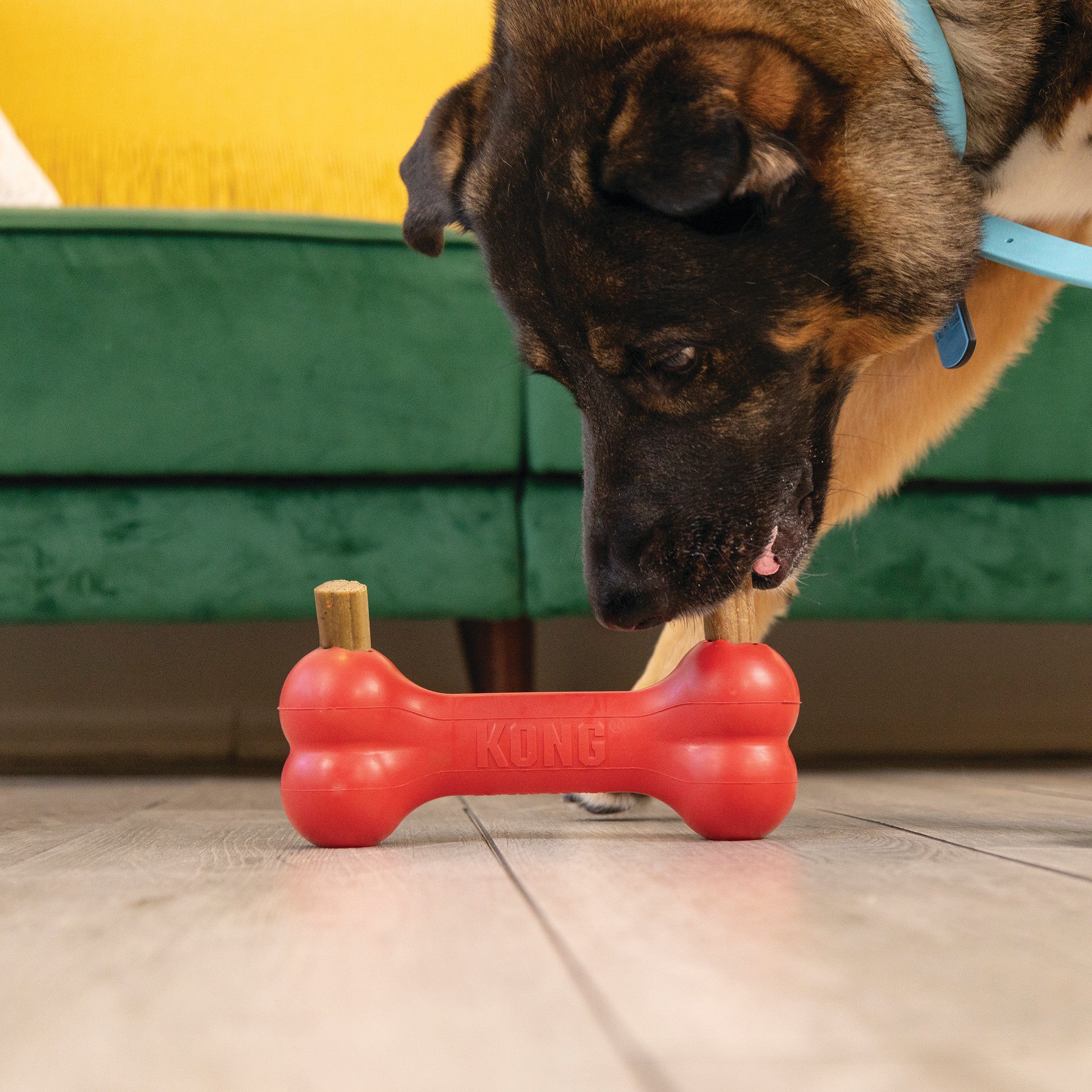 kong Ziggies Enhanced Small Up to 20 lbs