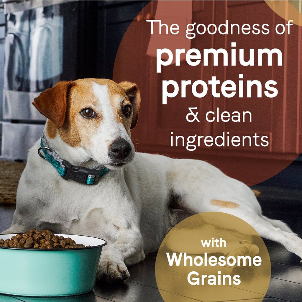 CANIDAE PURE Farm To Bowl  w/Wholesome Grains Dry Dog Food Beef  Barley, 1ea/22 lb