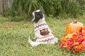 Fashion Pet Owl Sweater Cream Small