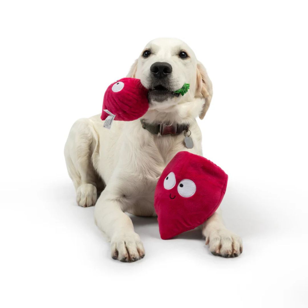 H&K Pop 'N Fetch D Beet Small Plush Squeak Crinkle