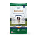 Natural Balance Pet Foods Health Protection Dry Dog Food Lamb, Rice & Pumpkin 4lb