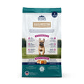 Natural Balance Pet Foods Health Protection Small Breed Dry Dog Food Chicken, Rice & Pumpkin 12lb