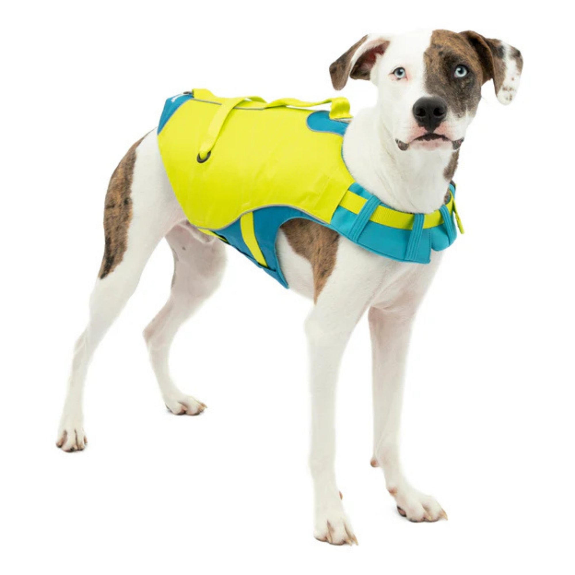 !KURGO D LIFE JACKET YL XSM