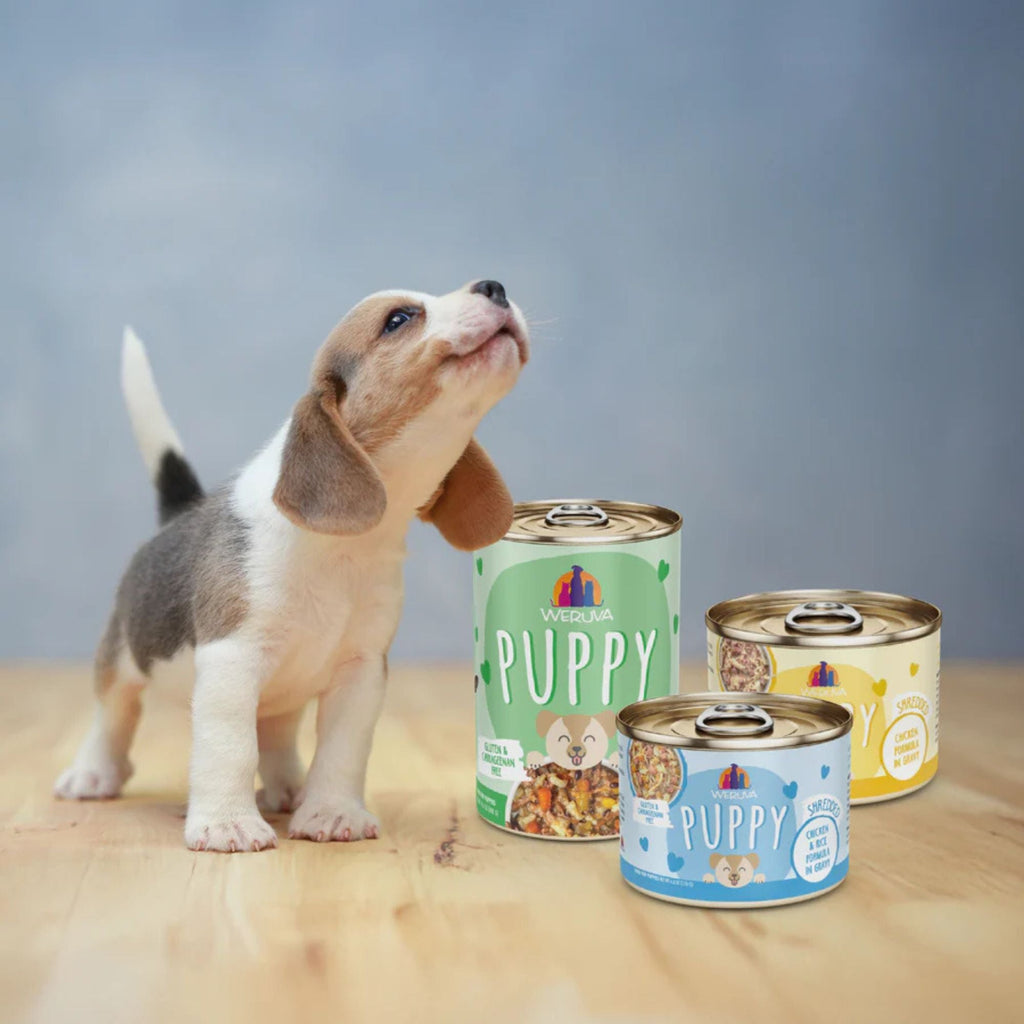 Weruva Dog Puppy Chicken & Rice Formula 6oz. - (Case of 8)