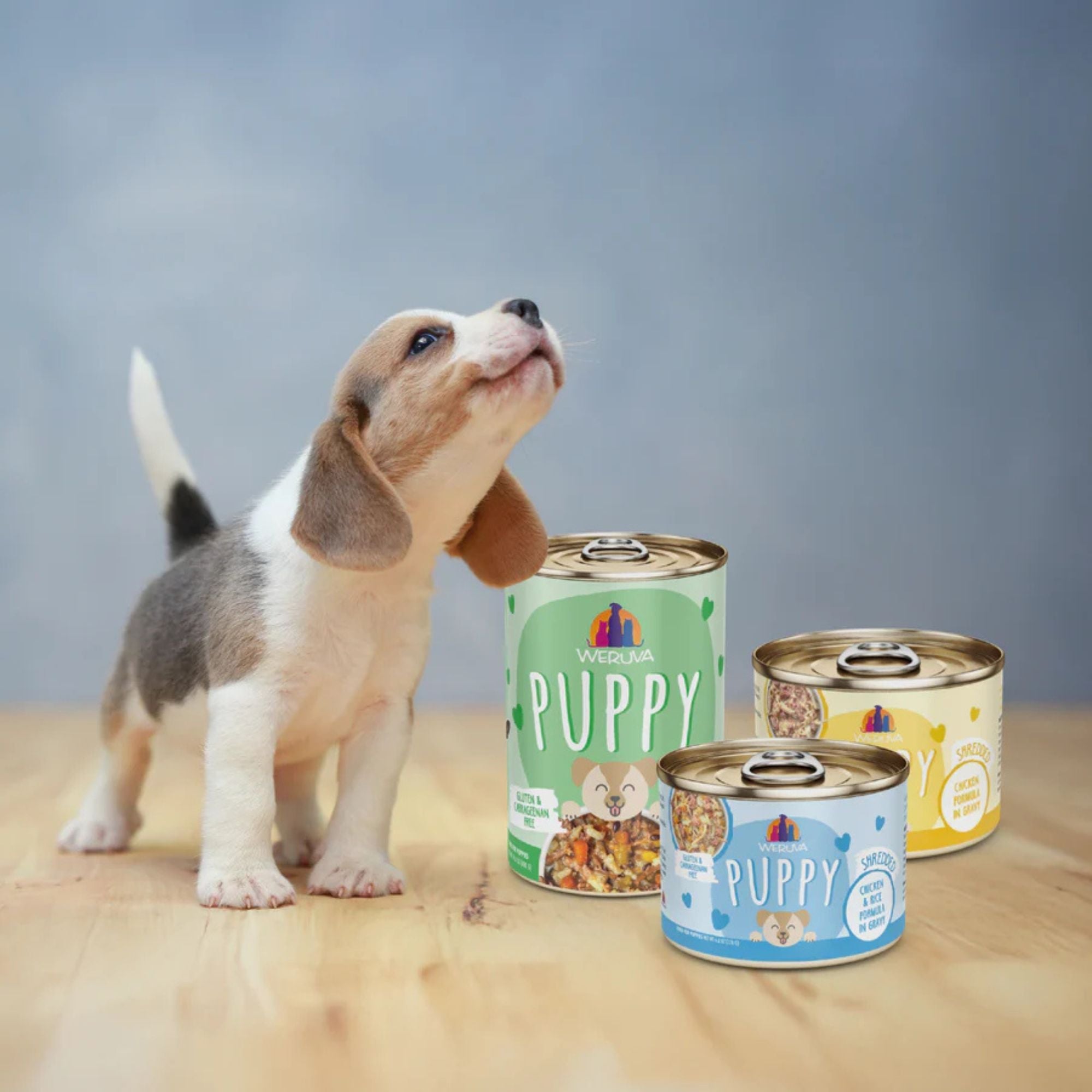 Weruva Dog Puppy Chicken & Rice Formula 6oz. - (Case of 8)