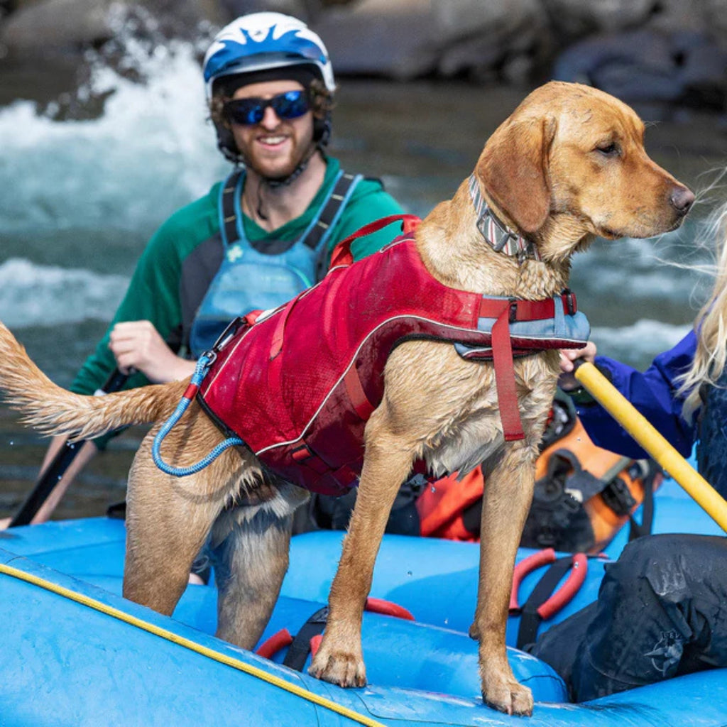 !KURGO D LIFE JACKET RD XSM