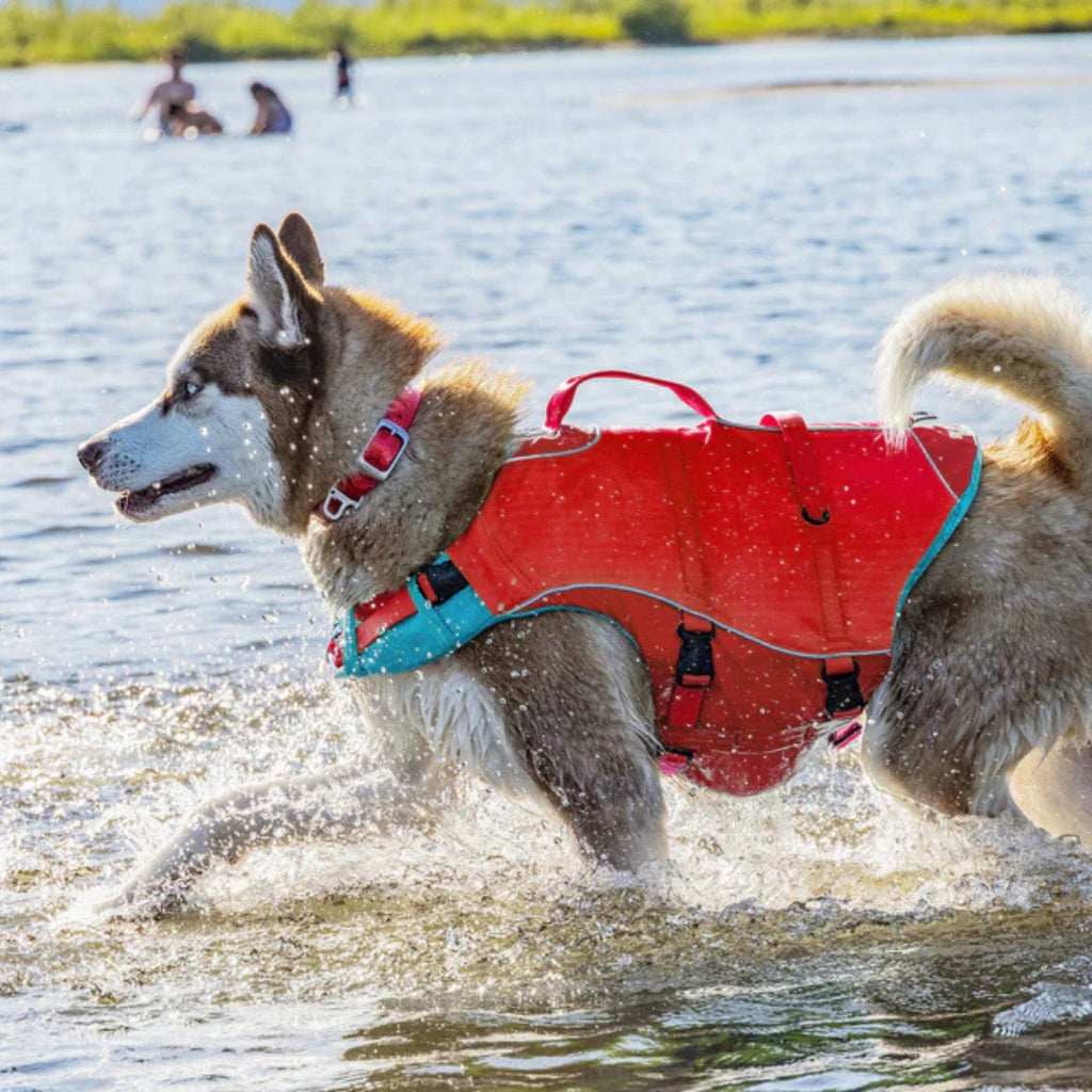 !KURGO D LIFE JACKET RD XLG