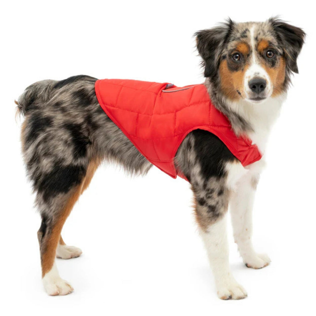 !KURGO D LOFT JACKET RD XLG