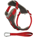 !KURGO D JRNY AIR HRN RD XLG
