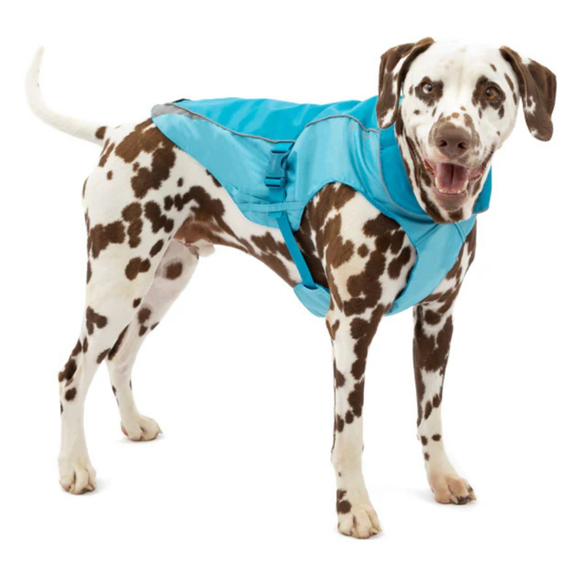 !KURGO D NRTH CNTRY COAT BLU XS