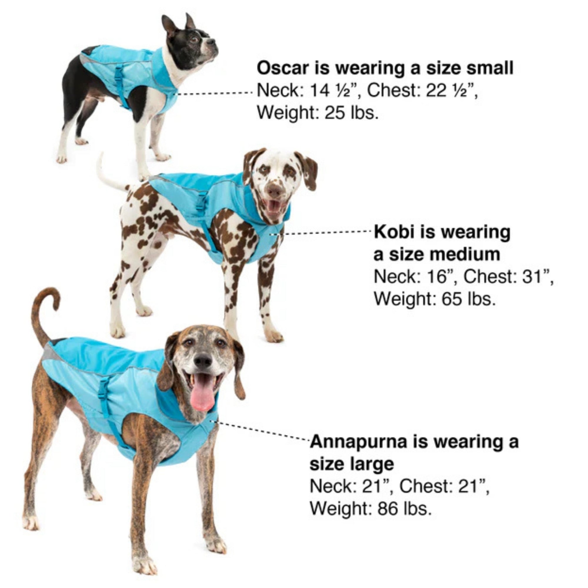 !KURGO D NRTH CNTRY COAT BLU XS