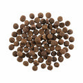 Go! Dog Skin & Coat Care Lamb With Grain 12Lb