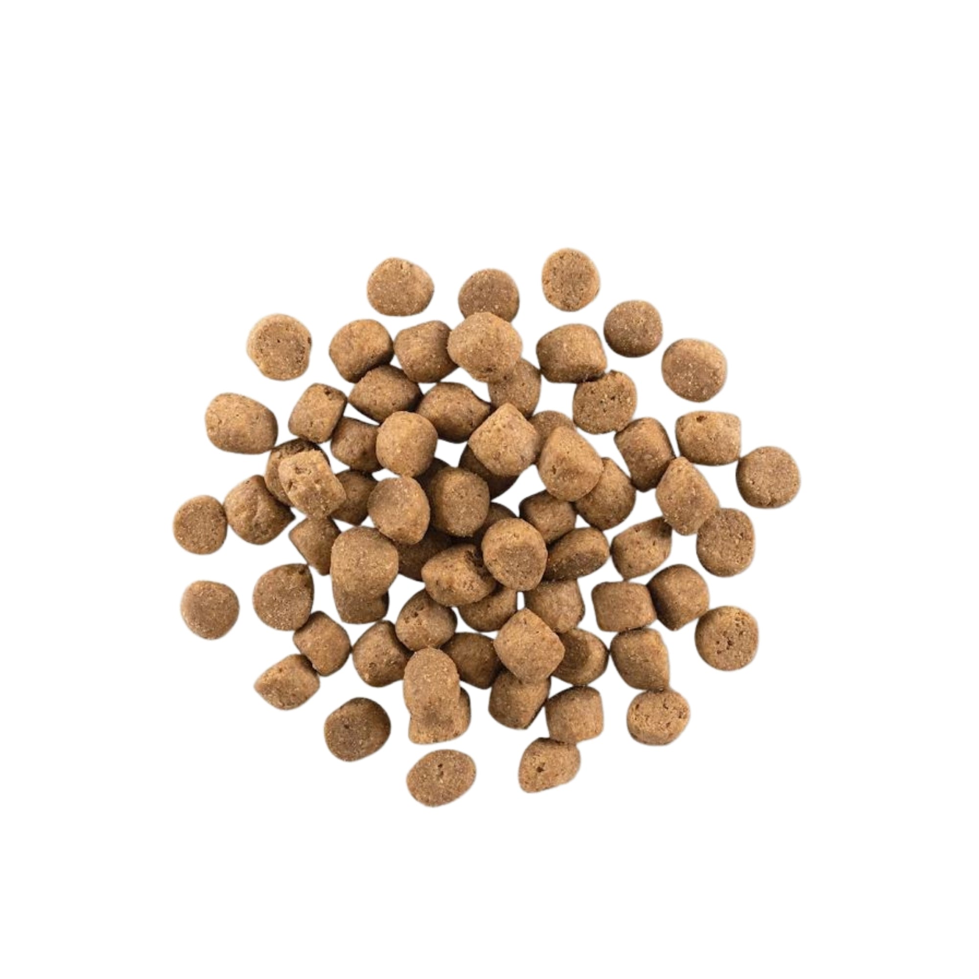 Now Fresh Dog Grain Free Adult Turkey 12Lb