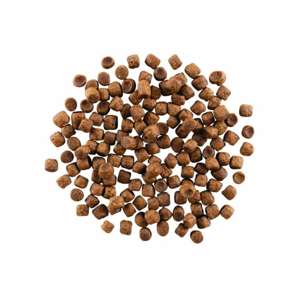 Go! Cat Carnivore Grain Free Chicken, Turkey & Duck 3Lb