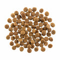 Go! Dog Skin & Coat Care Chicken With Grain 22Lb