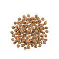 Now Fresh Dog Grain Free Adult Red Meat 22Lb