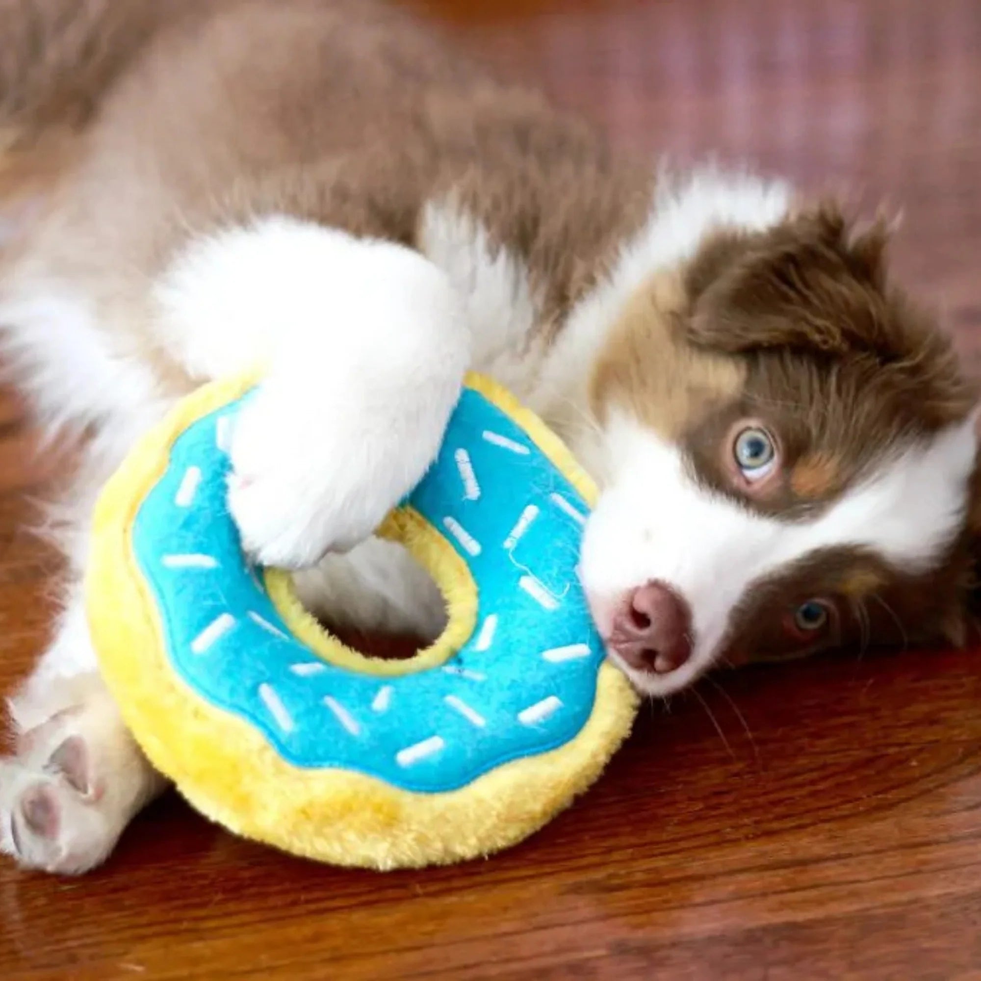 ZippyPaws Donutz Dog Toy Blueberry, 1ea/MD
