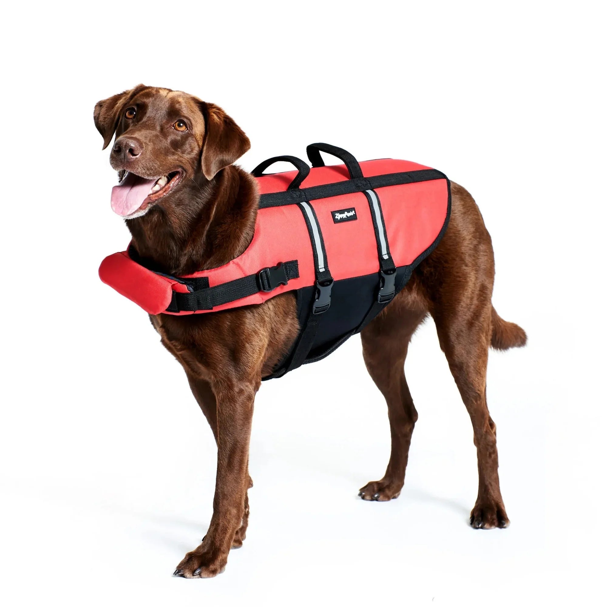 ZippyPaws Adventure Dog Life Jacket Red, 1ea/XXS
