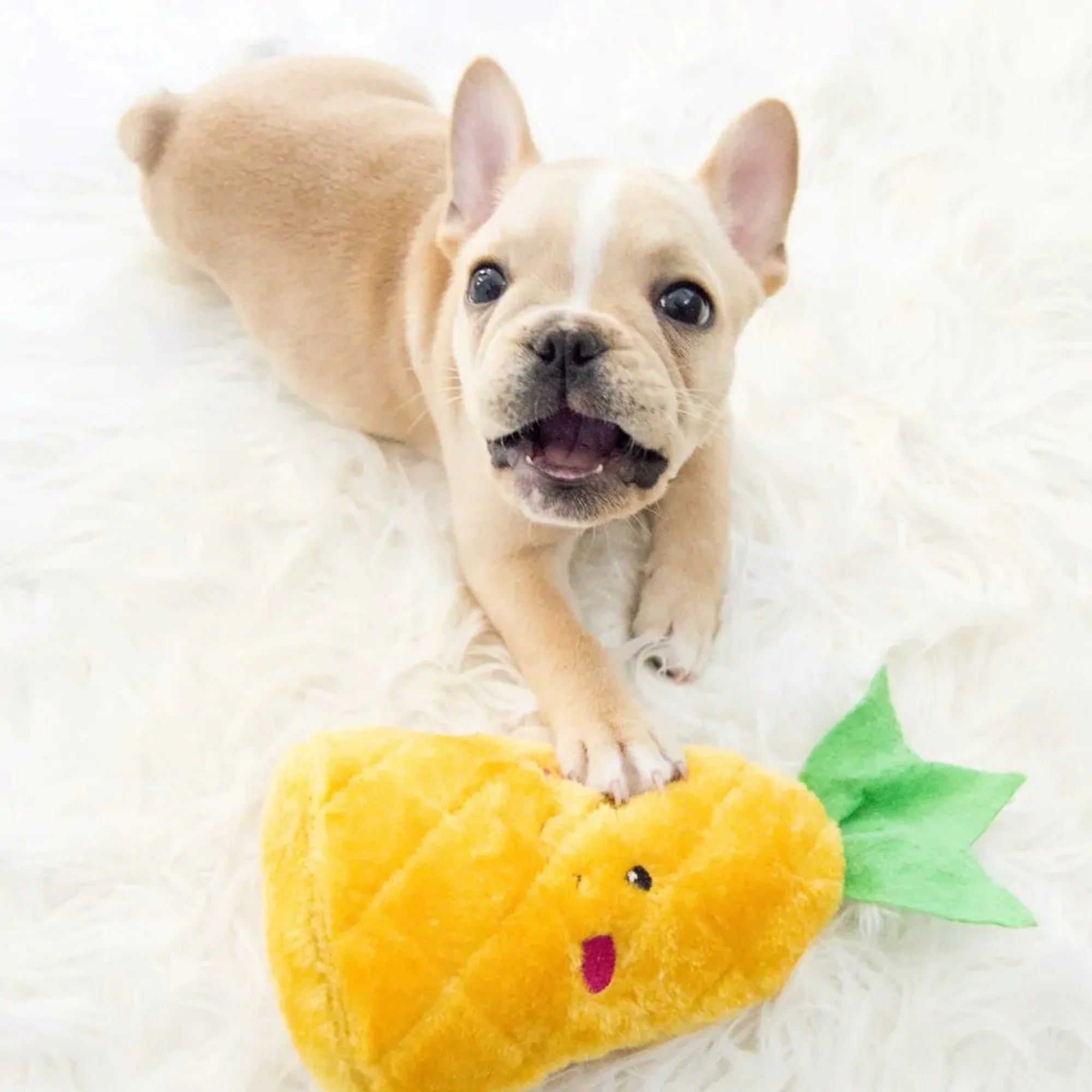 ZippyPaws NomNomz Dog Toy Pineapple, 1ea/MD