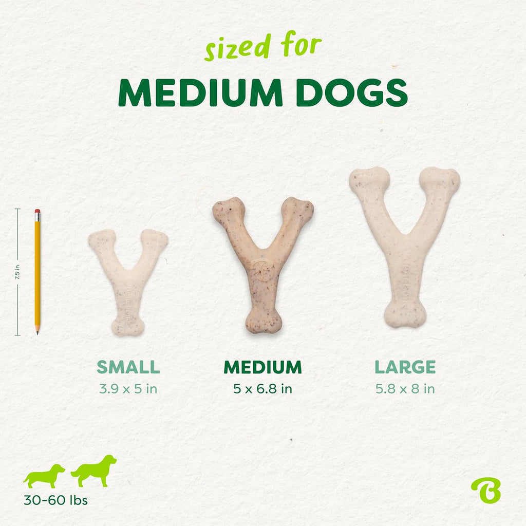 Benebone Green Plant-Based Real Bacon Wishbone Dog Chew Toy for Medium Dogs Dog Bones for Moderate Chewers Made in USA