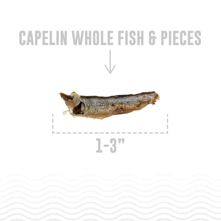 !ICLND D CPLN FSH WHL & PCS 9OZ