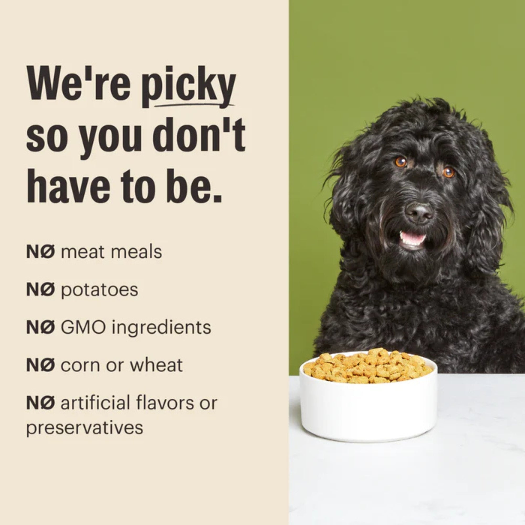 The Honest Kitchen Dog Essential Clusters Chicken & Oat 20lbs.