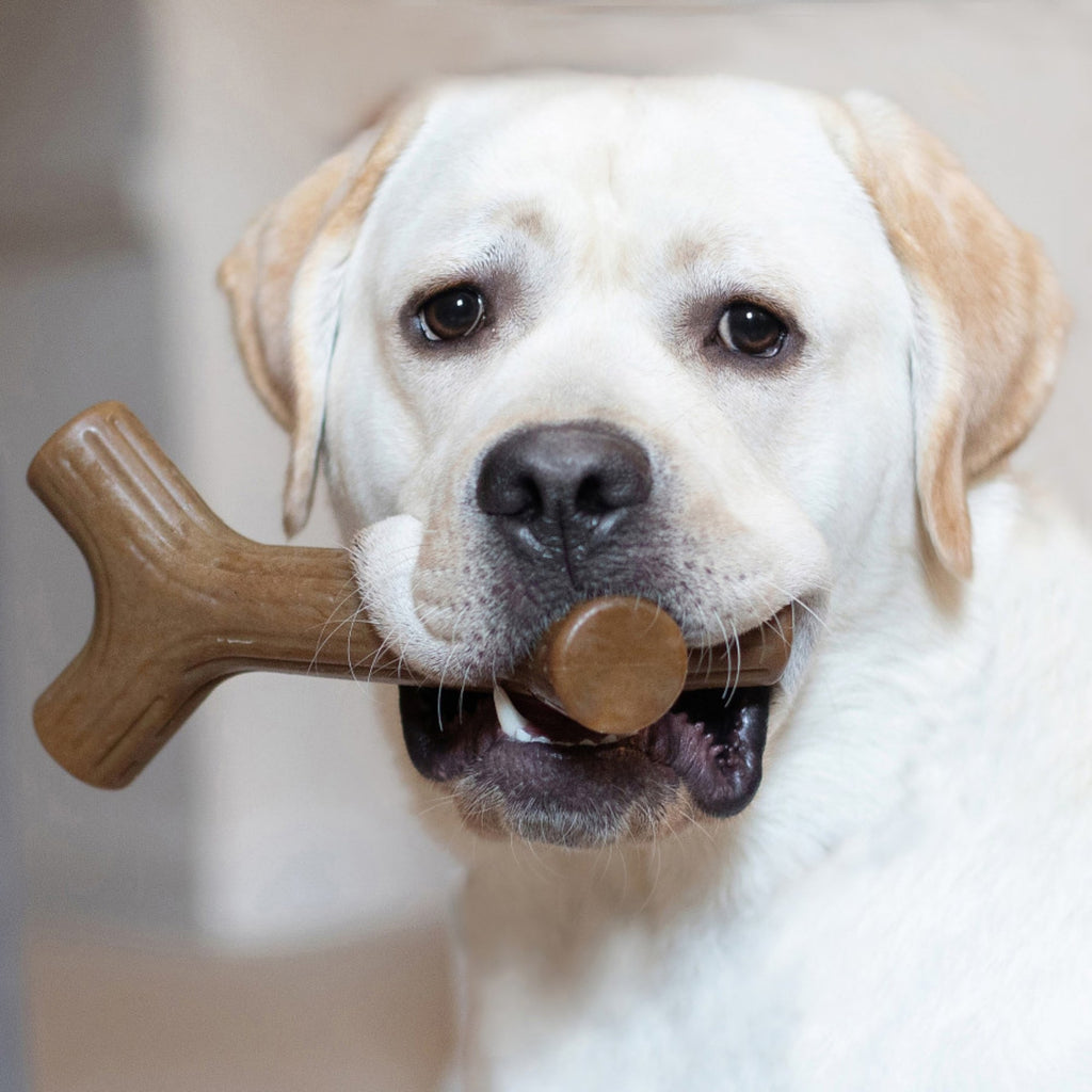 !Benebone Maplestick Durable Dog Chew Toy 1ea/XL
