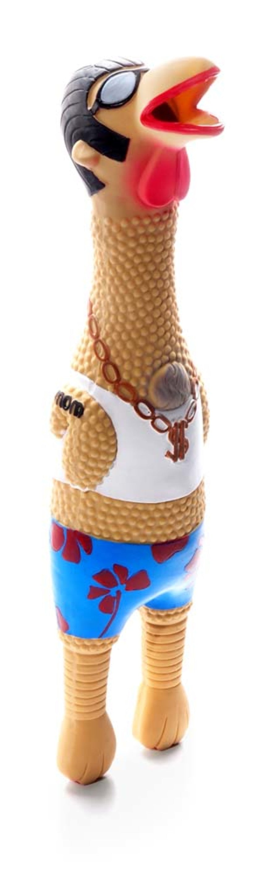 Charming Pet Products Squawkers Earl Dog Toy Multi-Color 1ea/SM