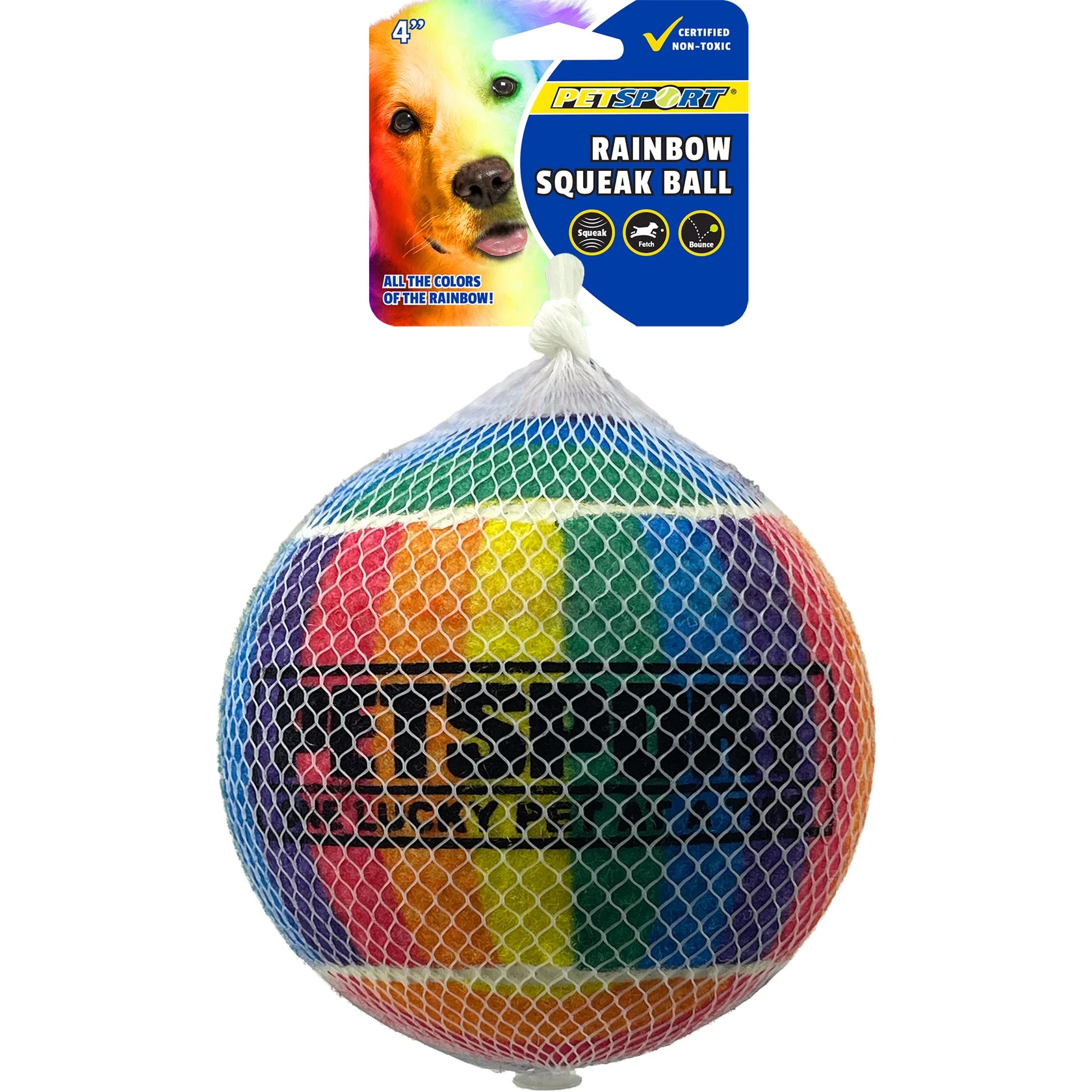 Petsport USA Rainbow Squeak Ball Dog Toy 4 in, 1 pk