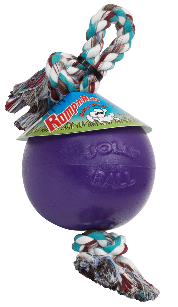Jolly Pet Romp-n-Roll Dog Toy Durable Purple Small, 4.5 in