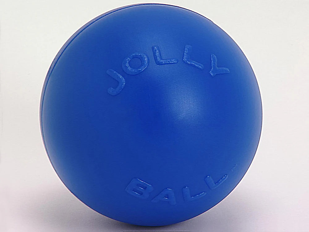 Jolly Pet Push-n-Play Plastic Dog Toy Blue Large, 10 in