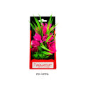 Aquatop Vibrant Passion Plant Pink, 1ea/6 in